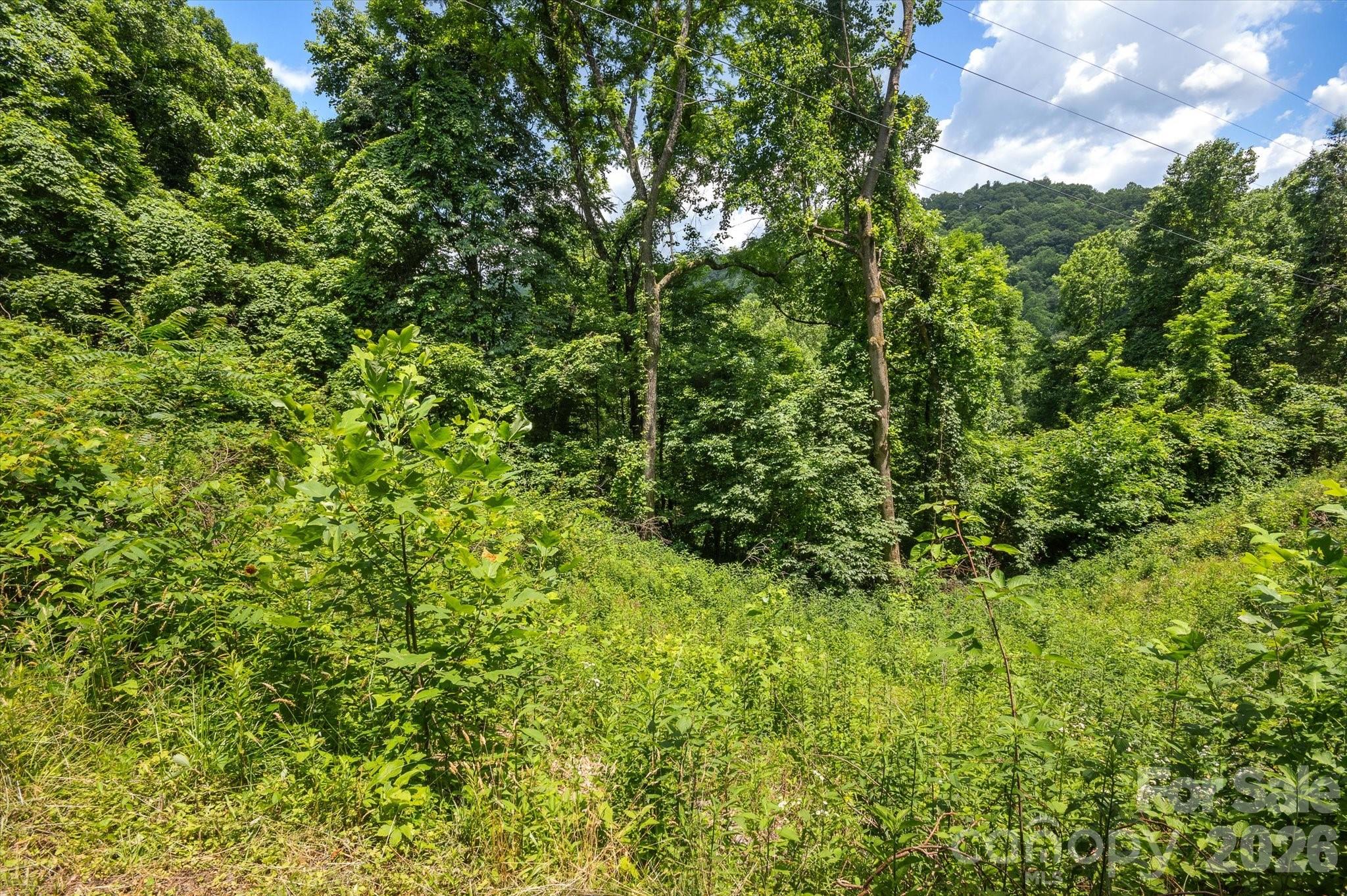 Lot at 99999 Secluded Valley Road, Marshall, photo 15 of 21