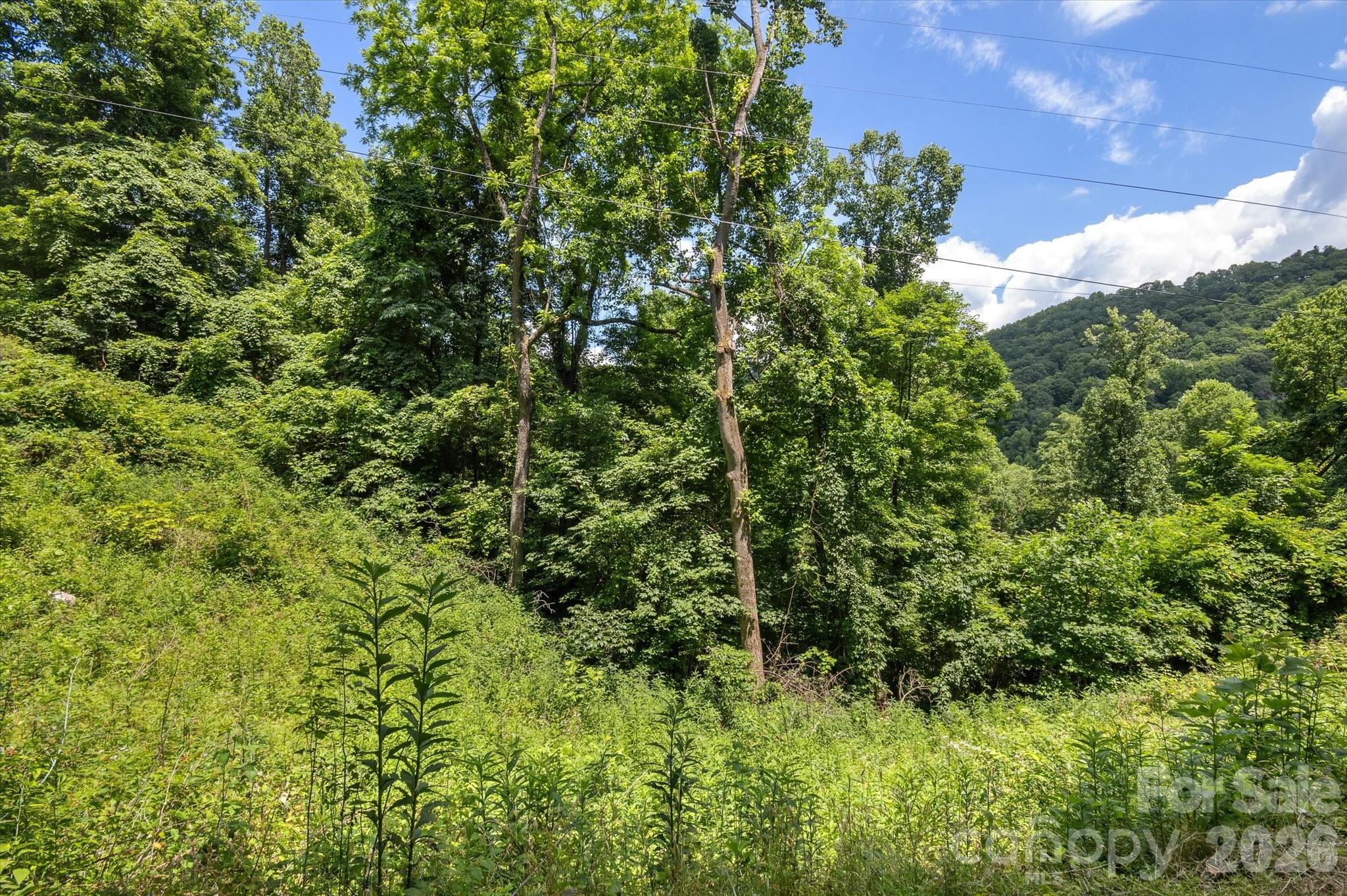 Lot at 99999 Secluded Valley Road, Marshall, photo 16 of 21