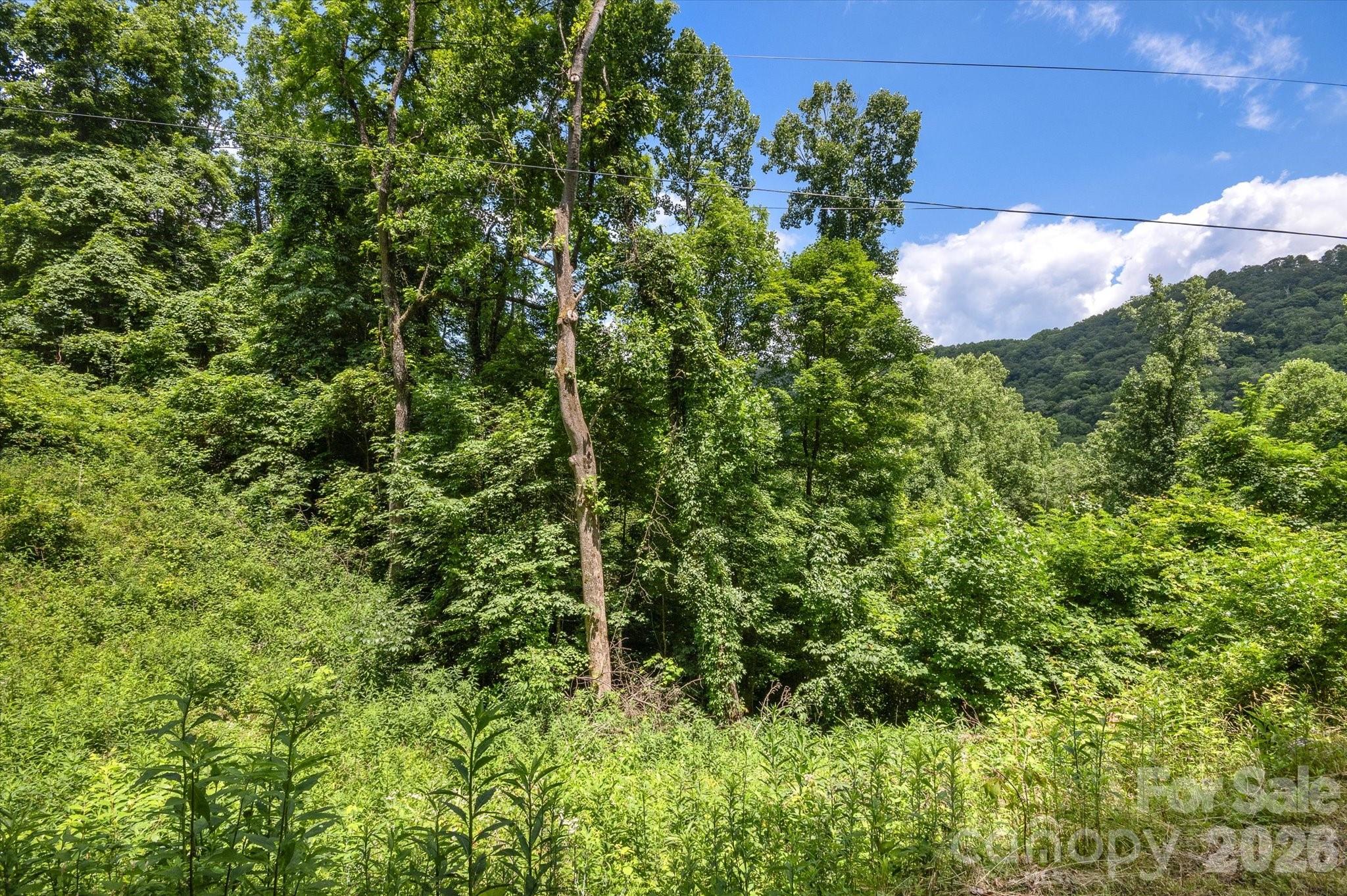 Lot at 99999 Secluded Valley Road, Marshall, photo 17 of 21