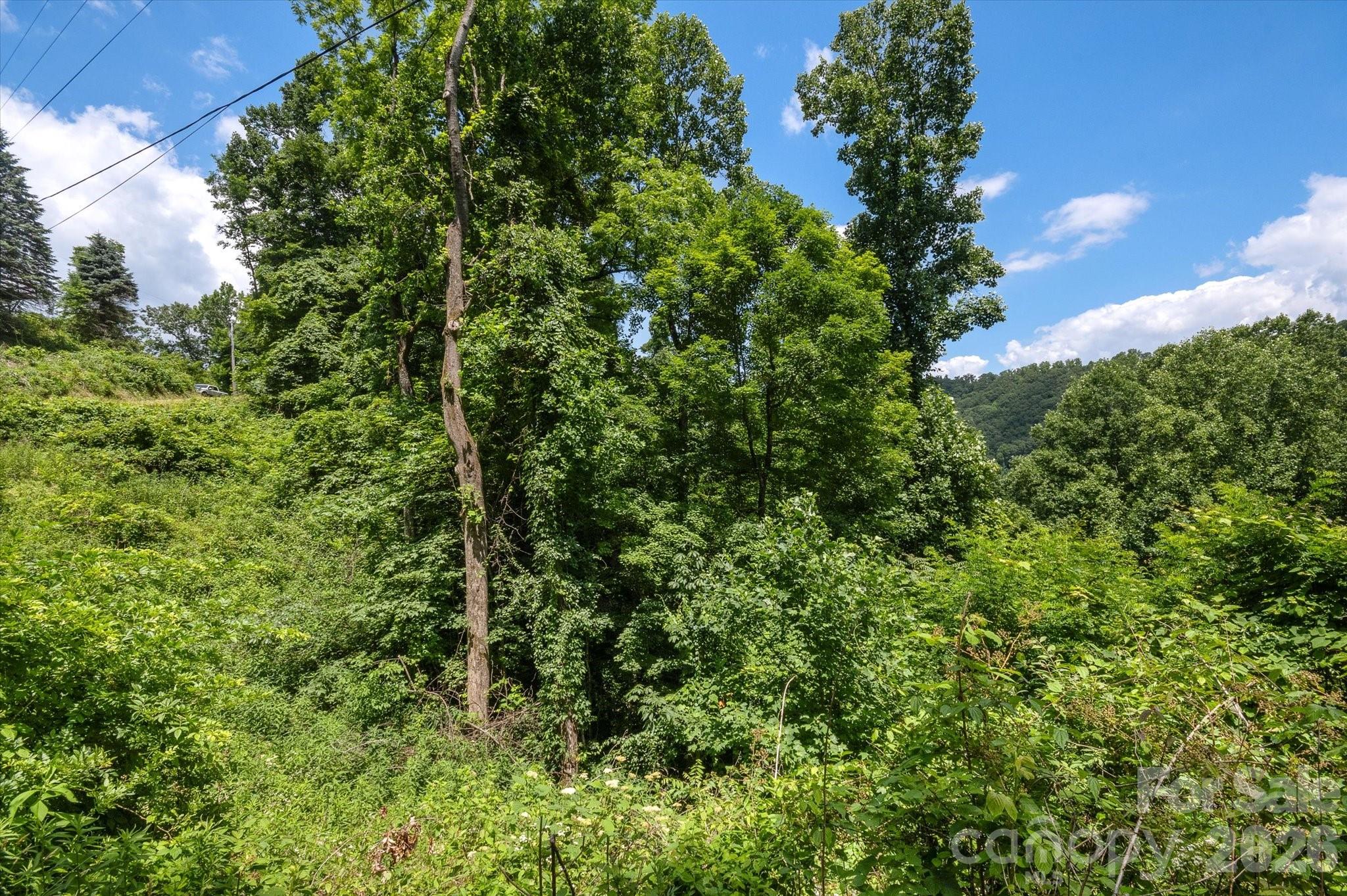 Lot at 99999 Secluded Valley Road, Marshall, photo 19 of 21