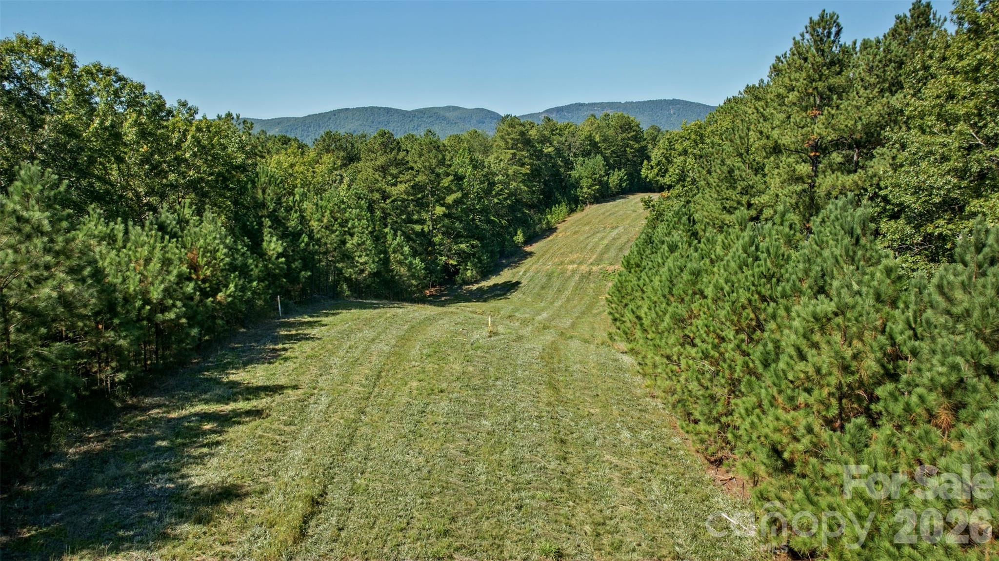 Lot at 0 River Park Lane, Mill Spring, photo 40 of 48
