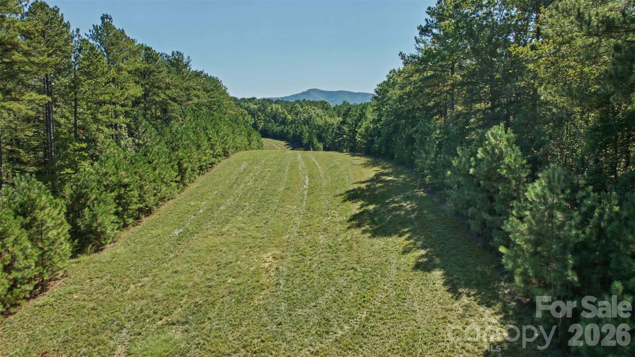 Lot at 0 River Park Lane, Mill Spring, photo 41 of 48