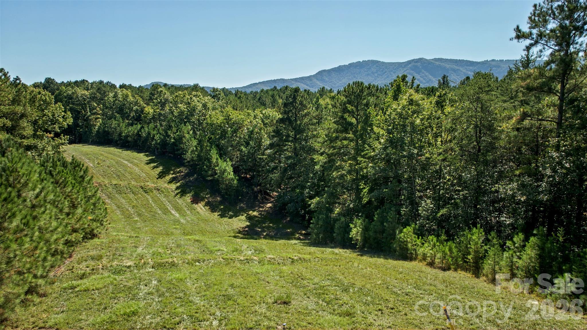 Lot at 0 River Park Lane, Mill Spring, photo 42 of 48