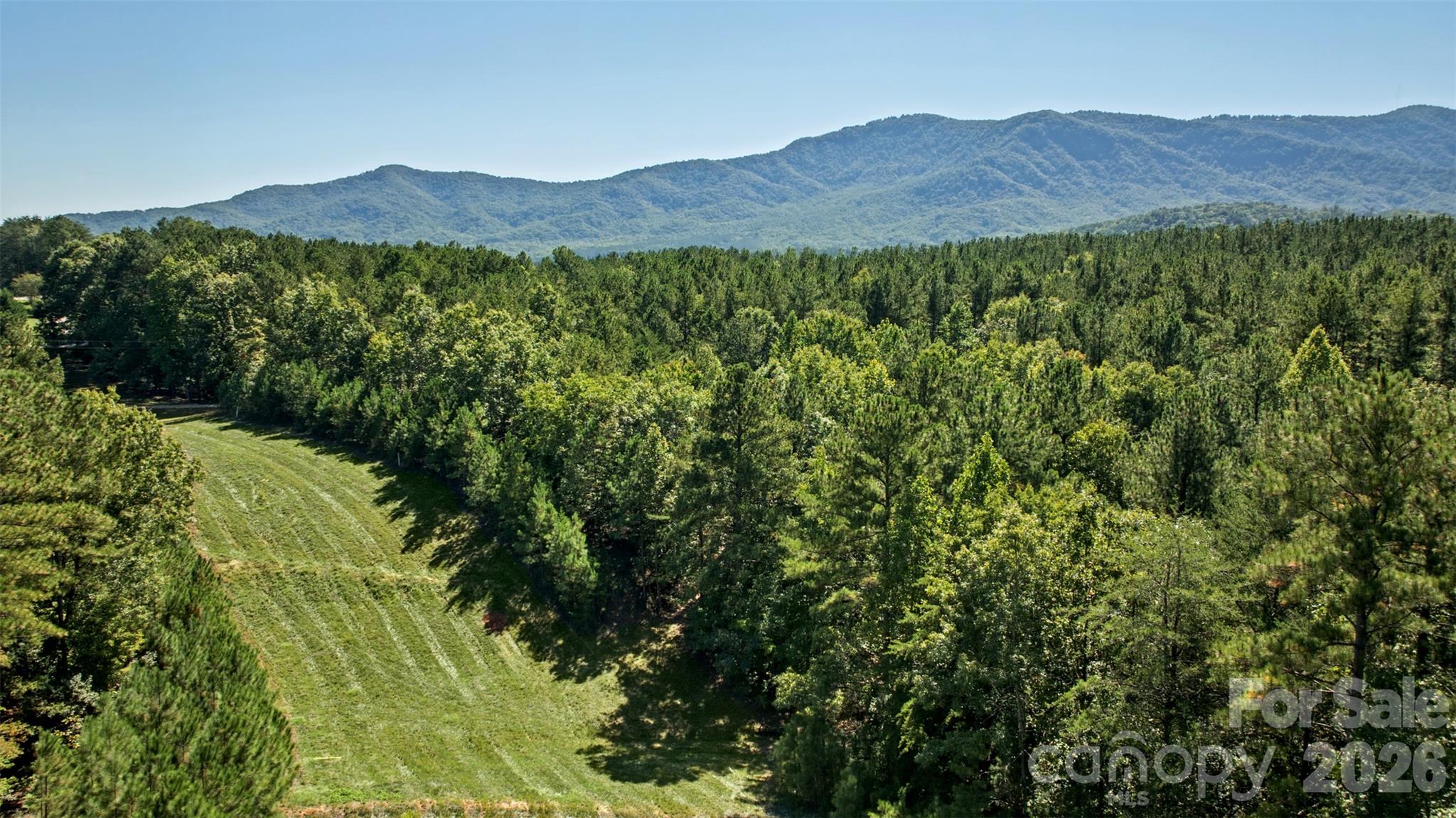 Lot at 0 River Park Lane, Mill Spring, photo 43 of 48