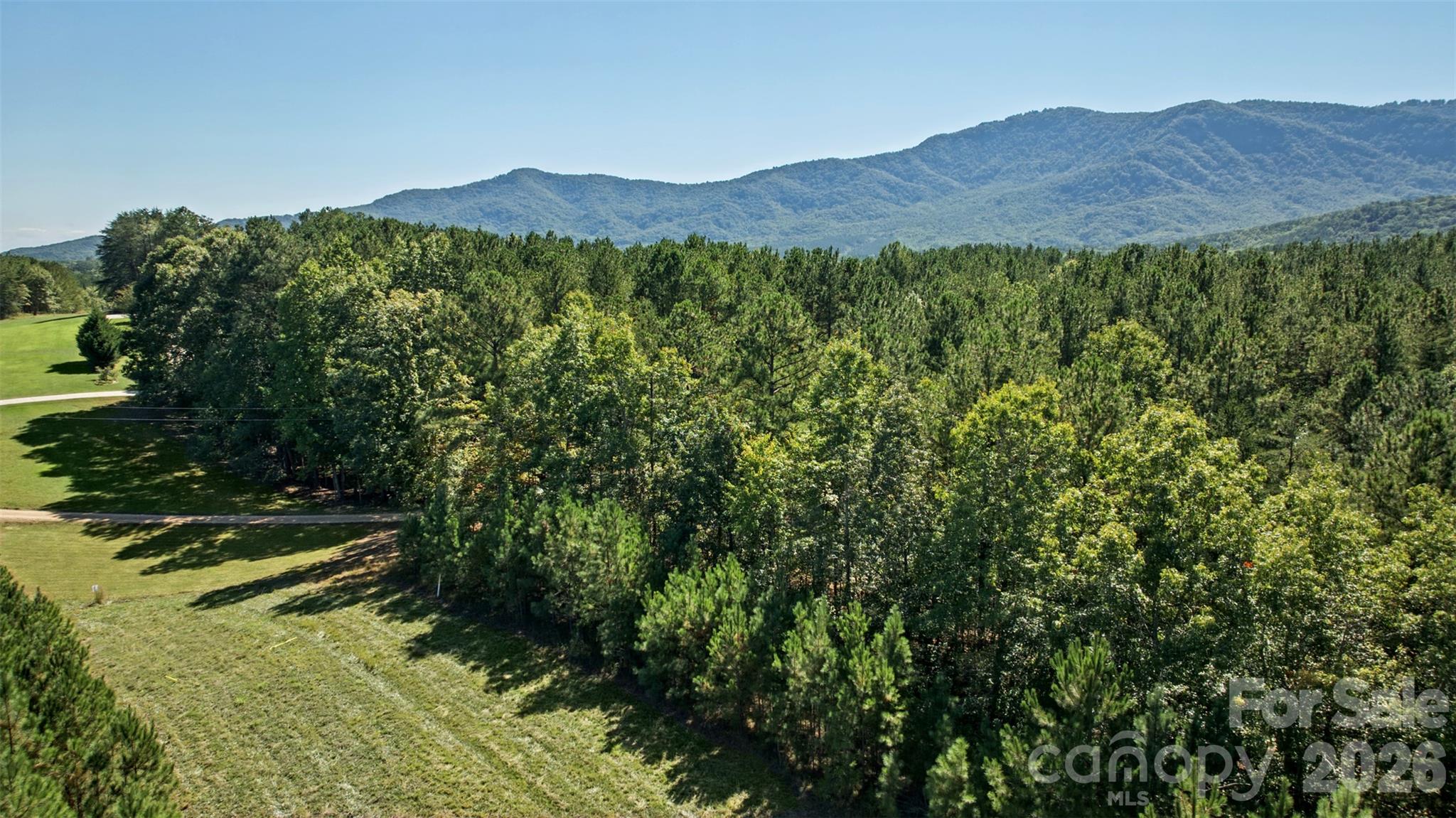 Lot at 0 River Park Lane, Mill Spring, photo 45 of 48