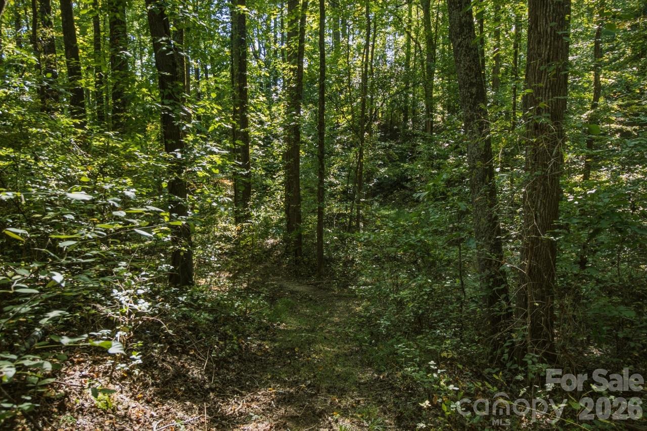 Lot at 1443 Mt Ulla Highway, Mooresville, photo 14 of 20