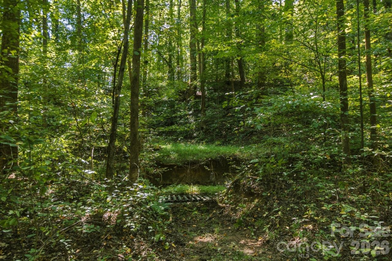 Lot at 1443 Mt Ulla Highway, Mooresville, photo 15 of 20