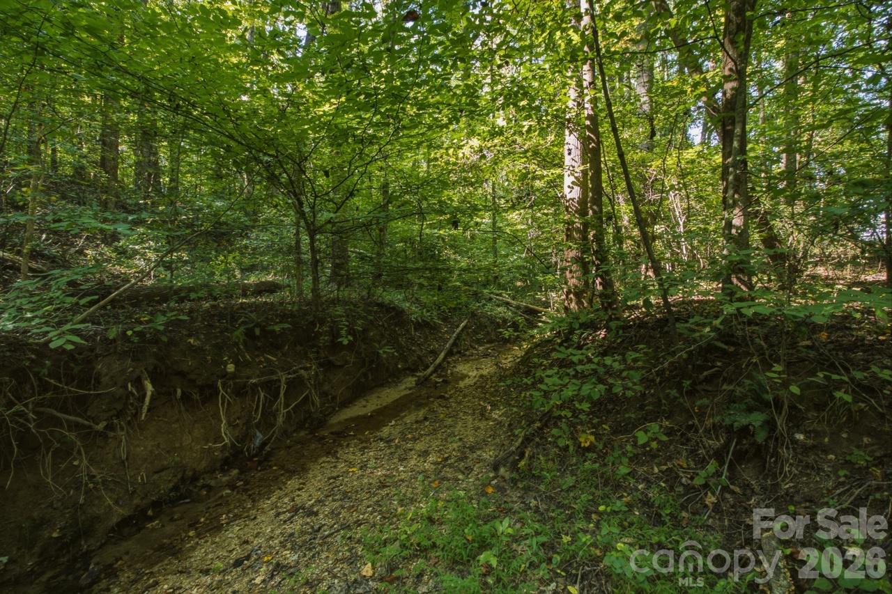 Lot at 1443 Mt Ulla Highway, Mooresville, photo 16 of 20