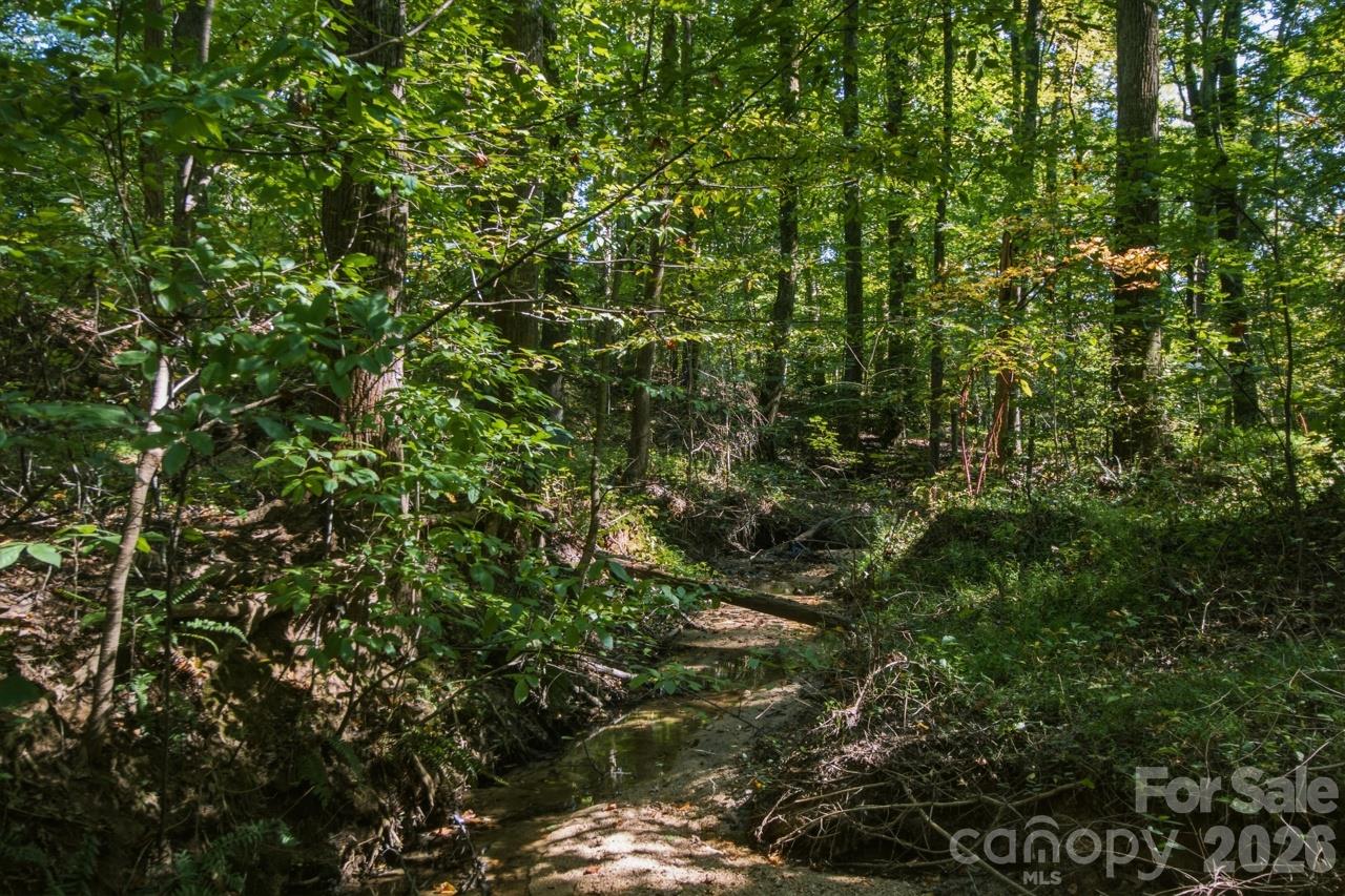 Lot at 1443 Mt Ulla Highway, Mooresville, photo 17 of 20