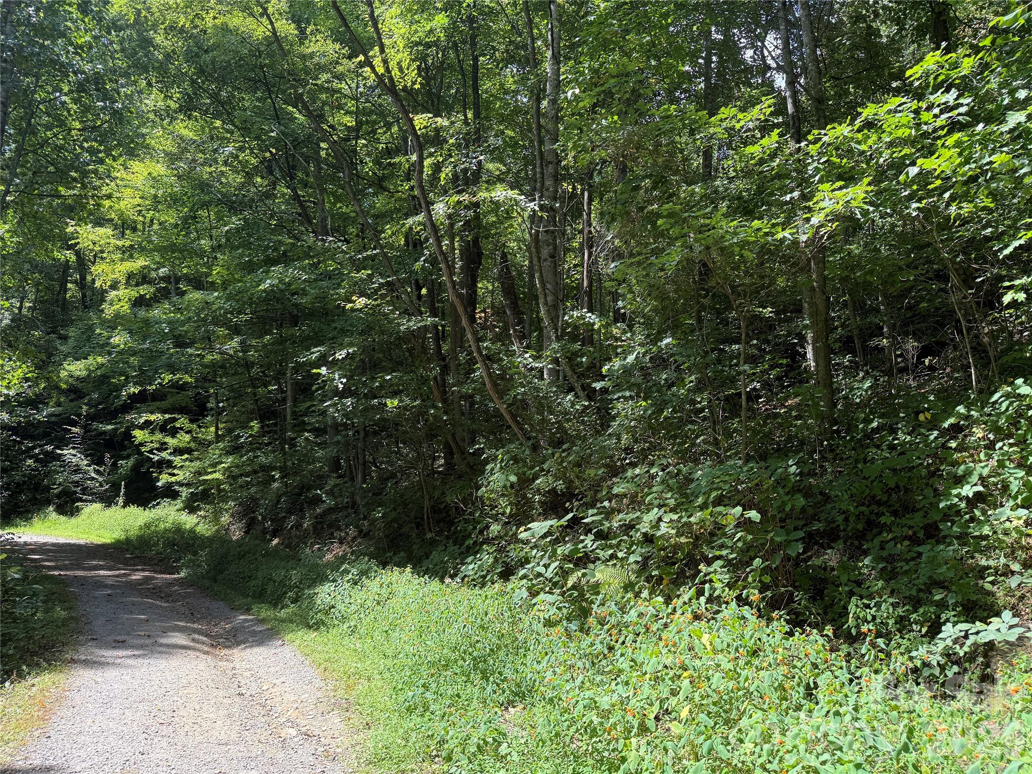 Lot at 35 Chandra Lane, Clyde, photo 2 of 20