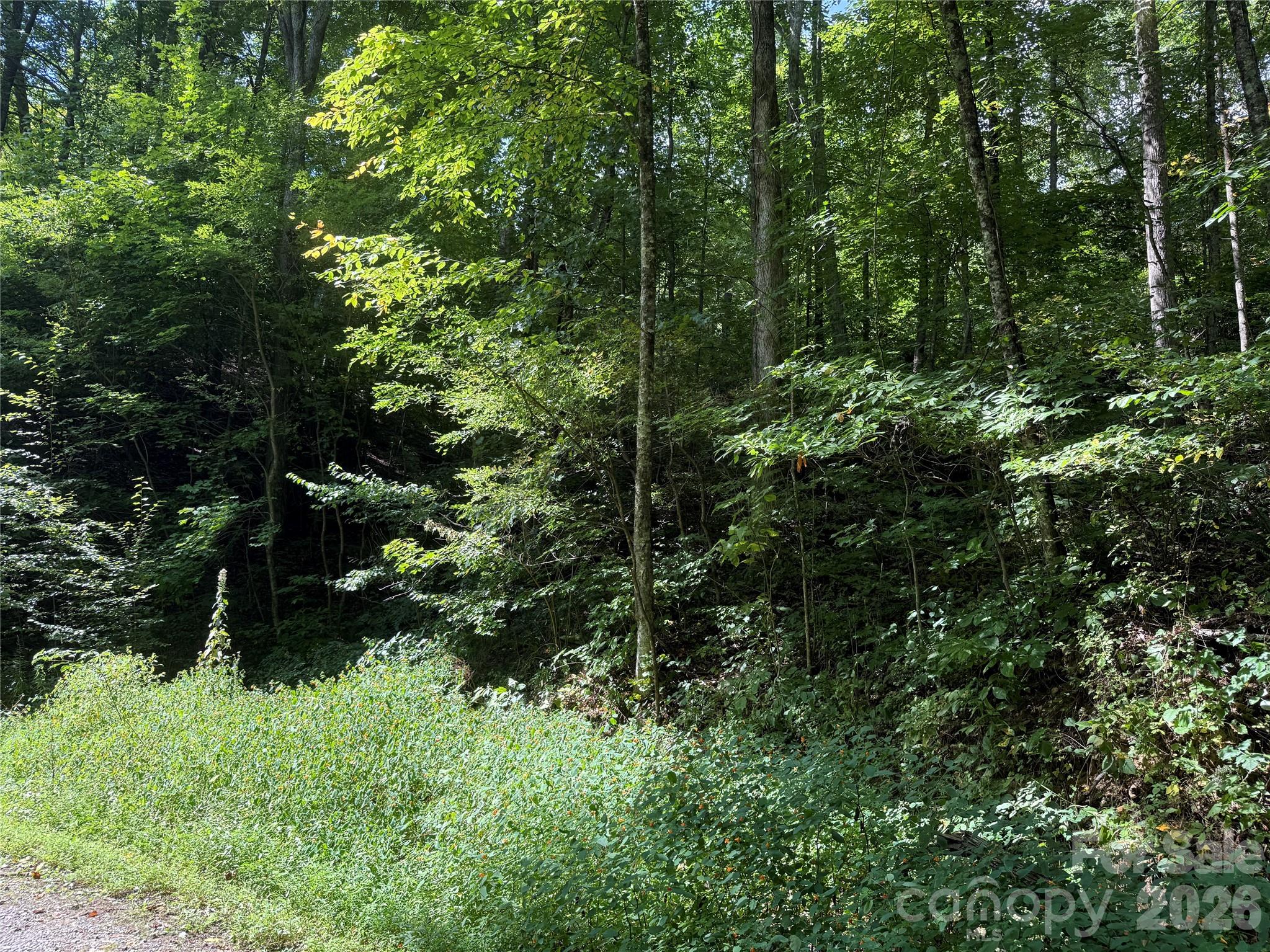 Lot at 35 Chandra Lane, Clyde, photo 3 of 20