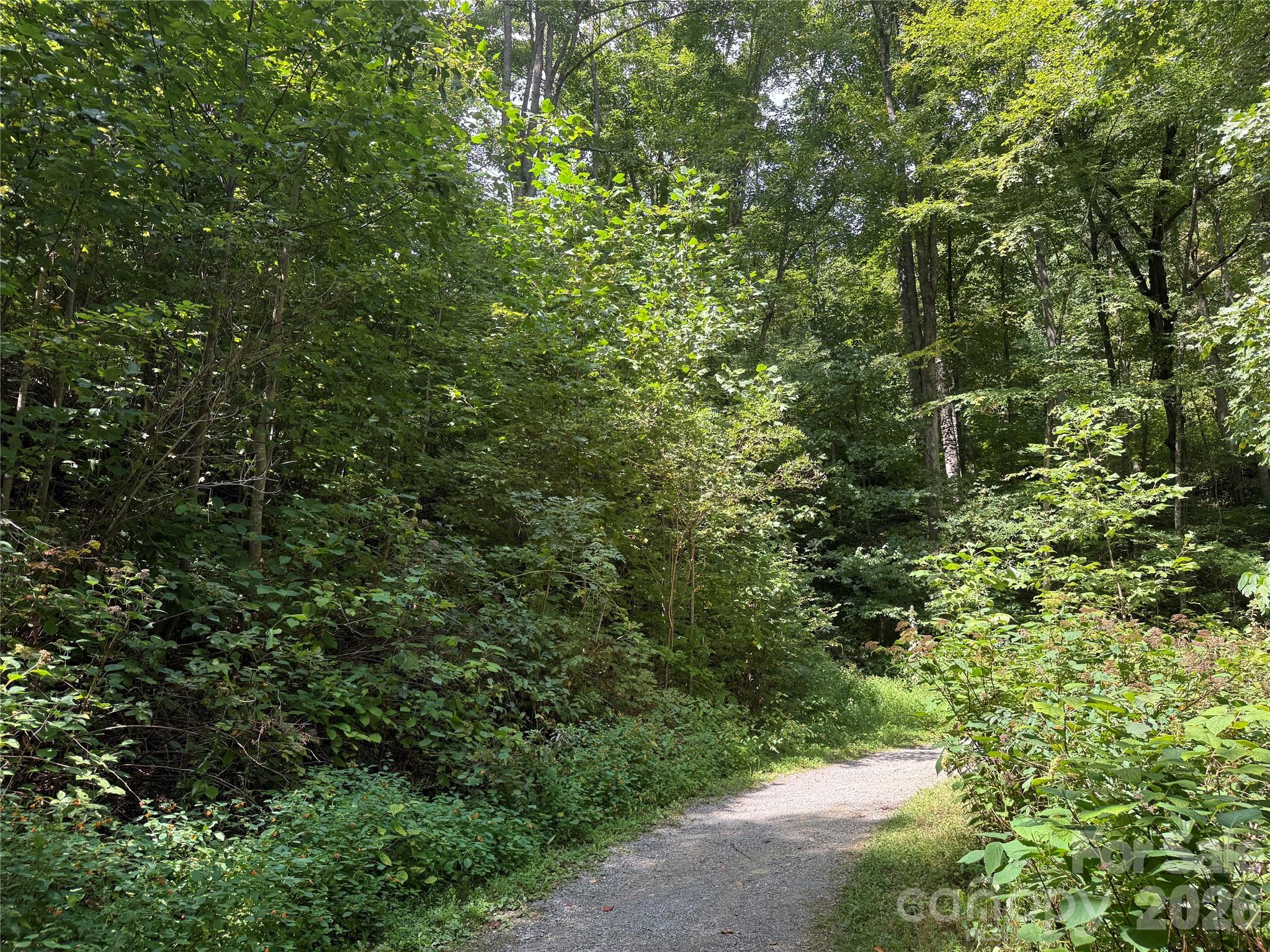 Lot at 35 Chandra Lane, Clyde, photo 4 of 20
