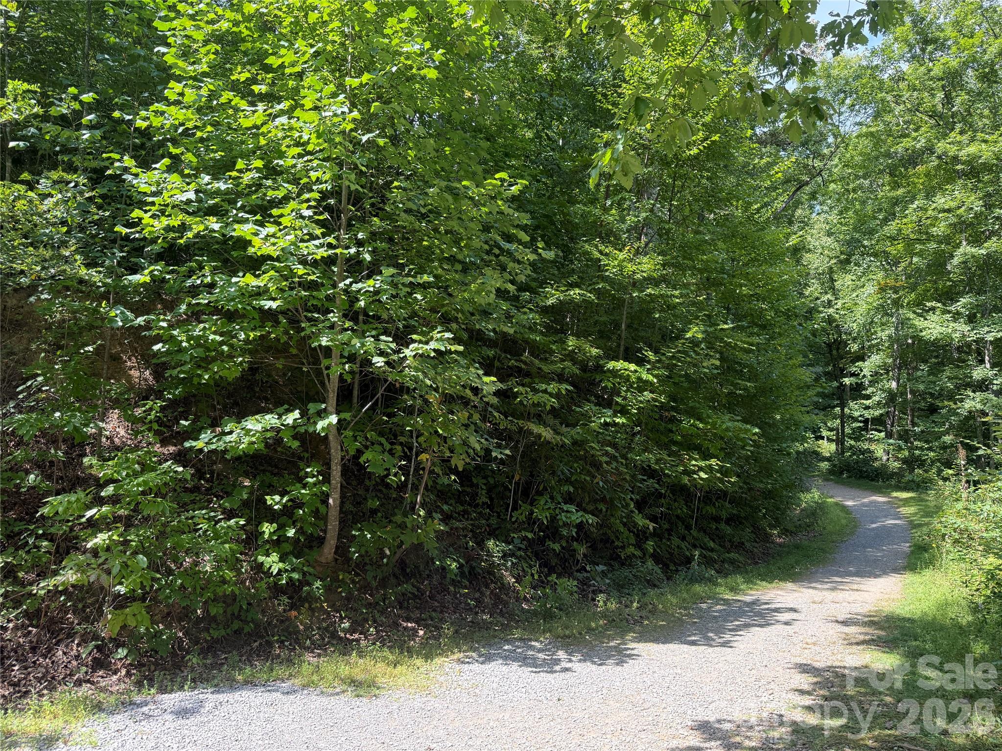 Lot at 35 Chandra Lane, Clyde, photo 5 of 20