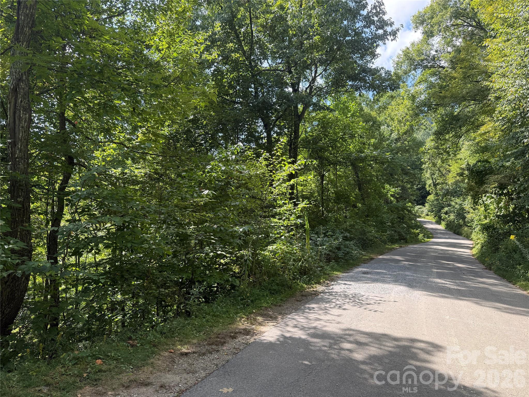 Lot at 35 Chandra Lane, Clyde, photo 6 of 20