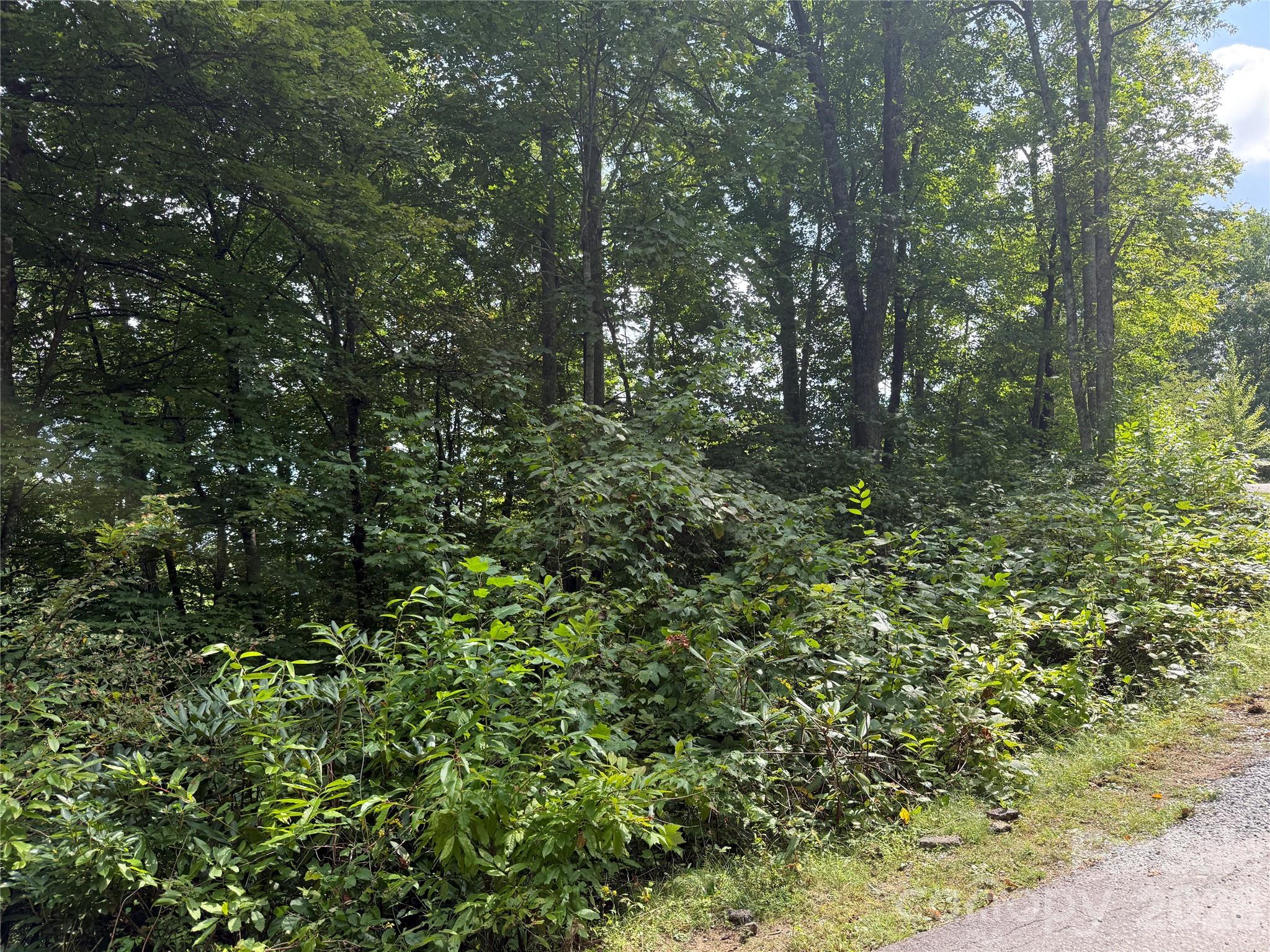 Lot at 35 Chandra Lane, Clyde, photo 7 of 20