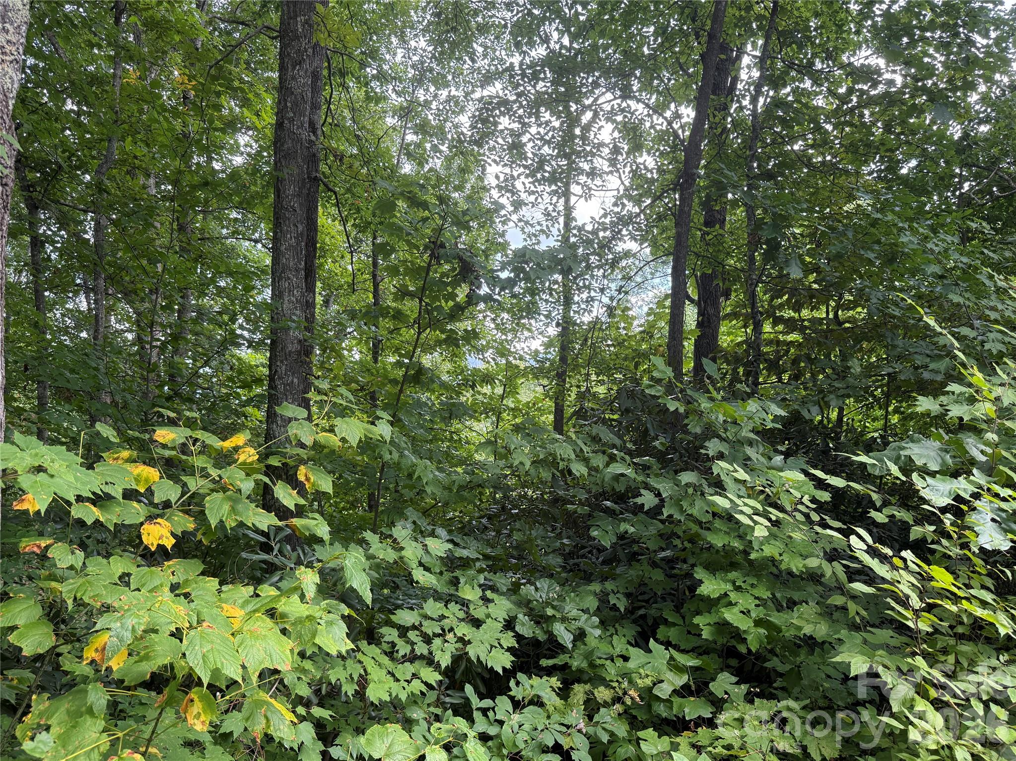Lot at 35 Chandra Lane, Clyde, photo 8 of 20