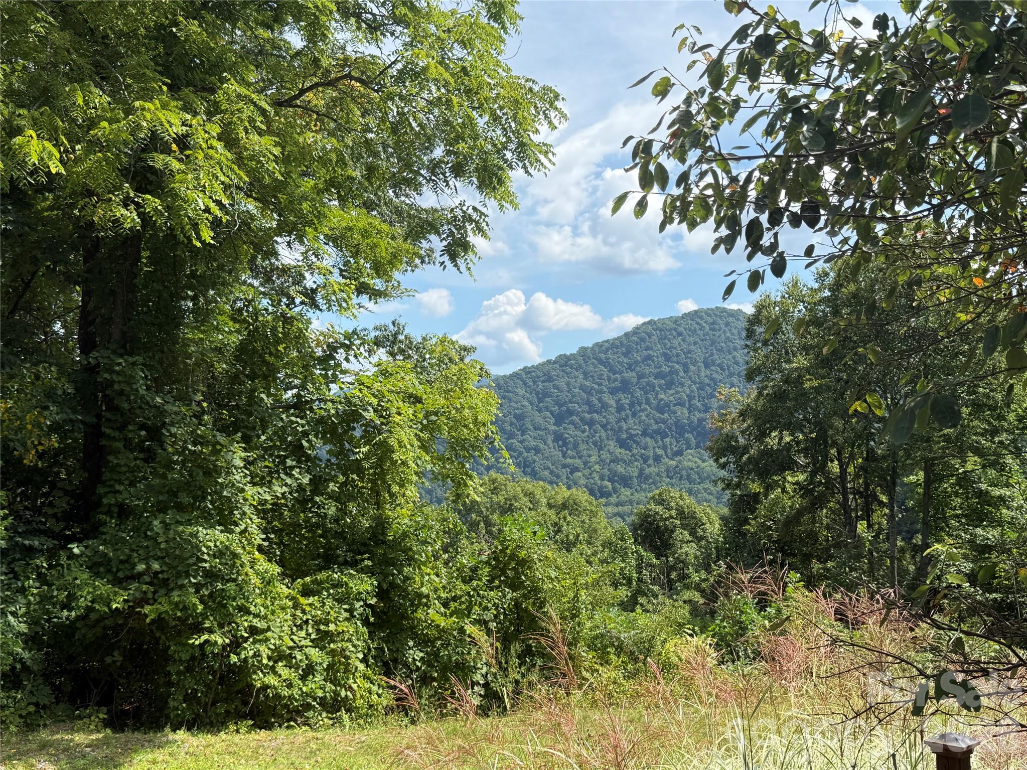 View from neighboring property (similar views with selective clearing) - 35 Chandra Lane, Clyde