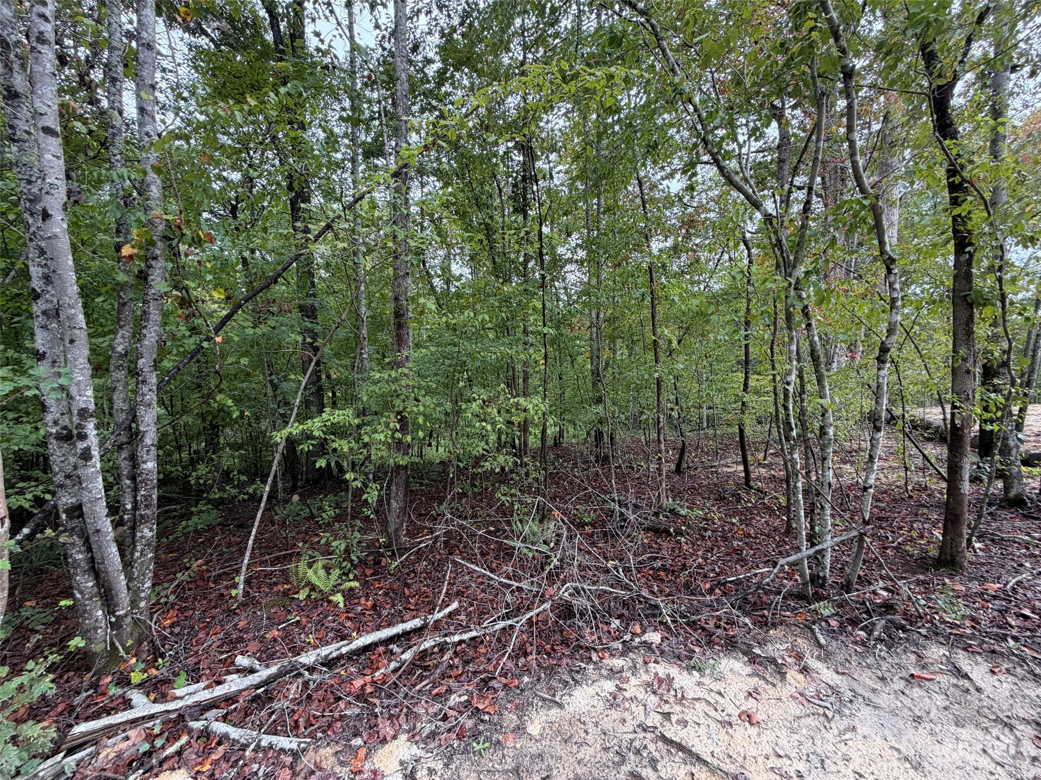 Acreage at V/L W V THOMPSON Road, Rutherfordton, photo 2 of 22