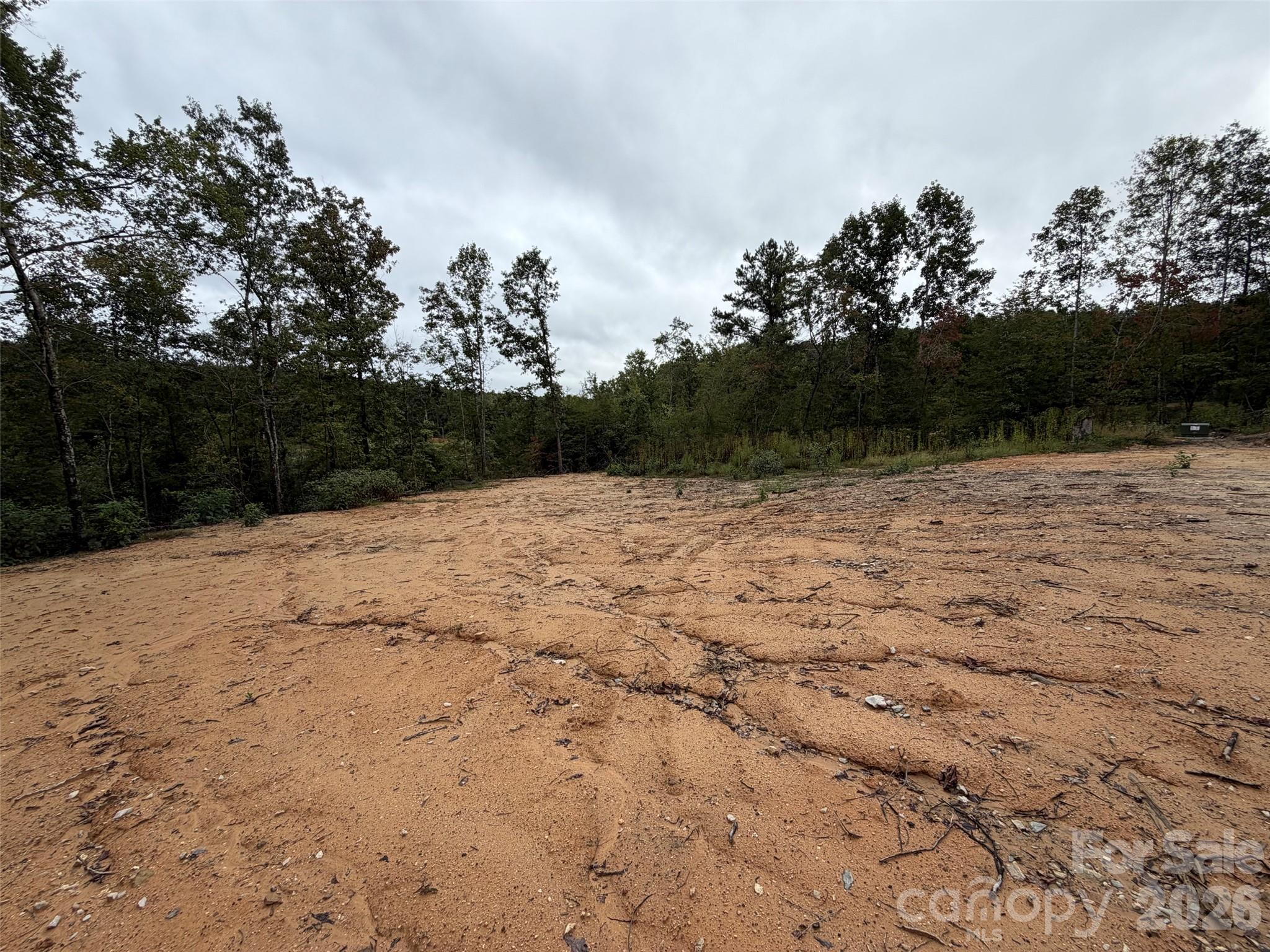 Acreage at V/L W V THOMPSON Road, Rutherfordton, photo 8 of 22
