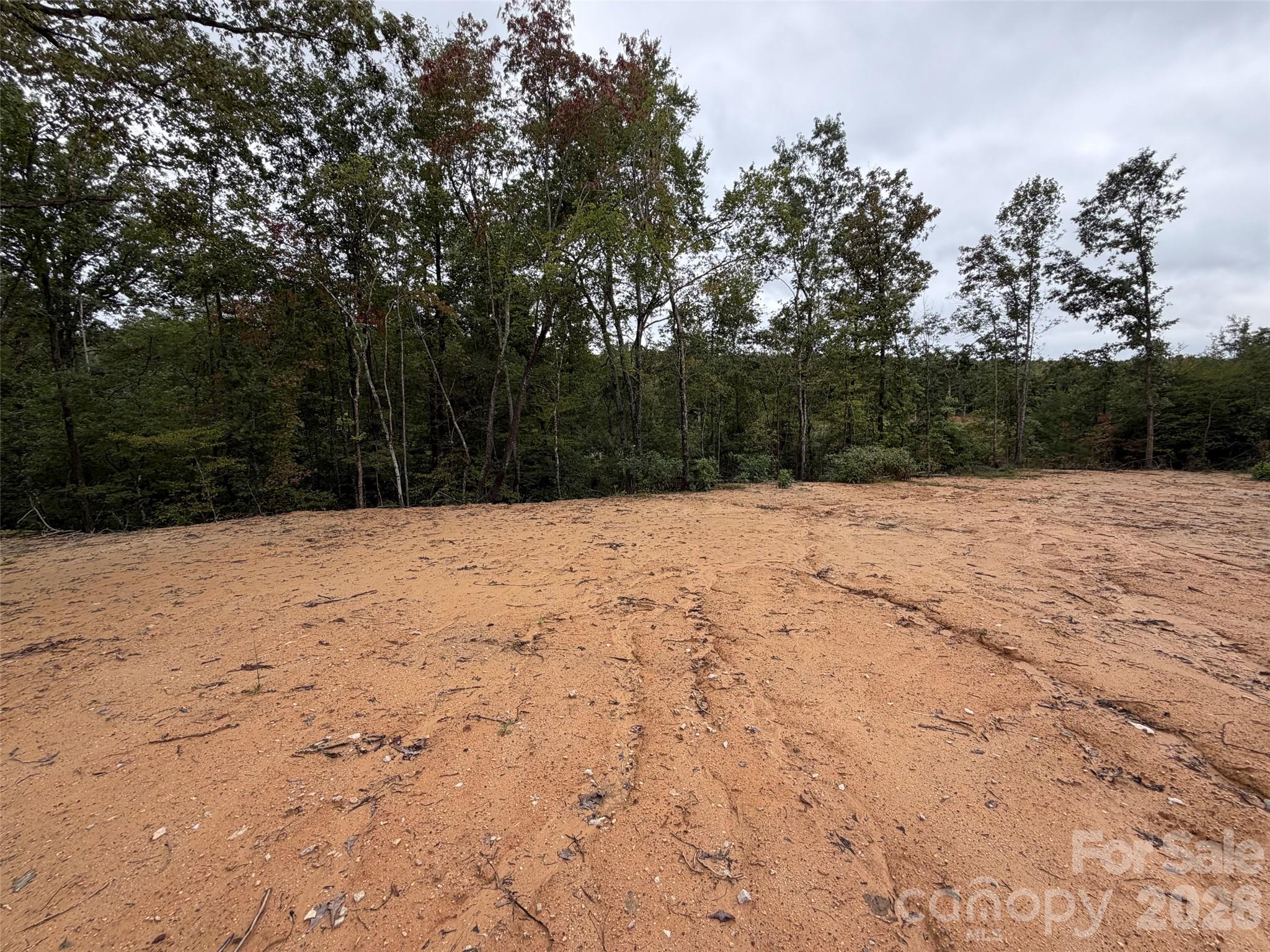 Acreage at V/L W V THOMPSON Road, Rutherfordton, photo 9 of 22