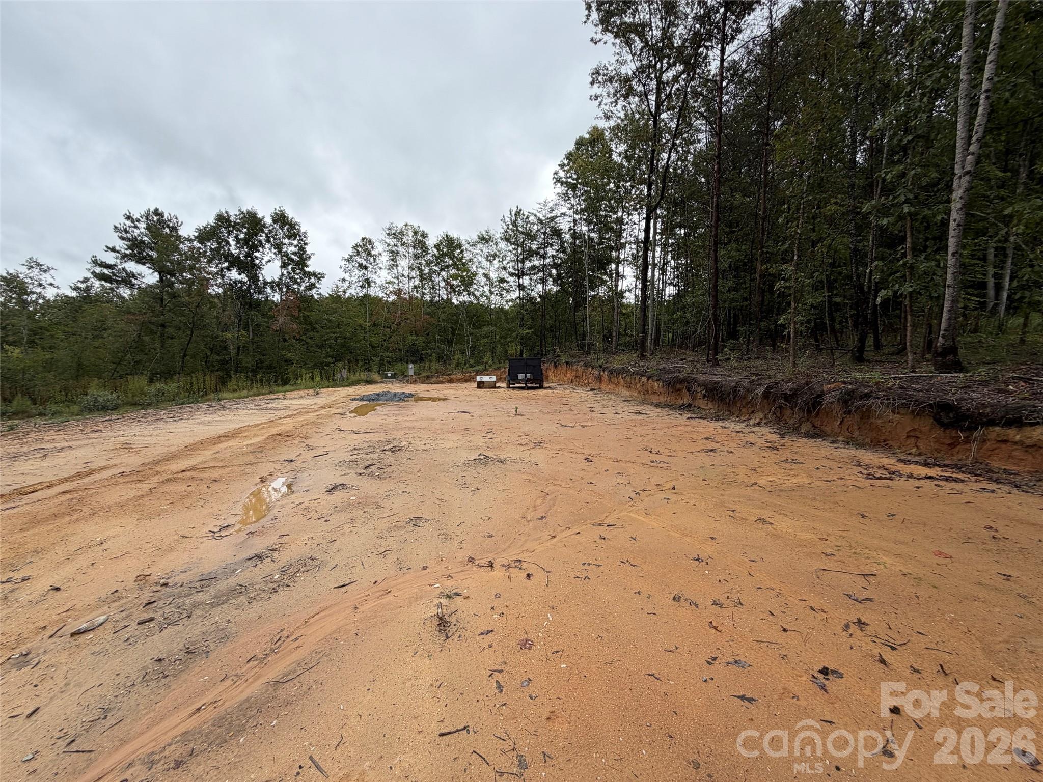 Acreage at V/L W V THOMPSON Road, Rutherfordton, photo 10 of 22