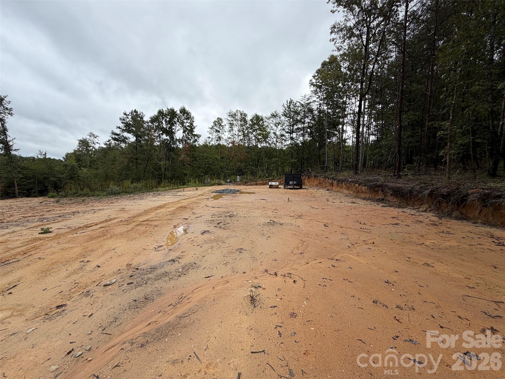 Acreage at V/L W V THOMPSON Road, Rutherfordton, photo 11 of 22