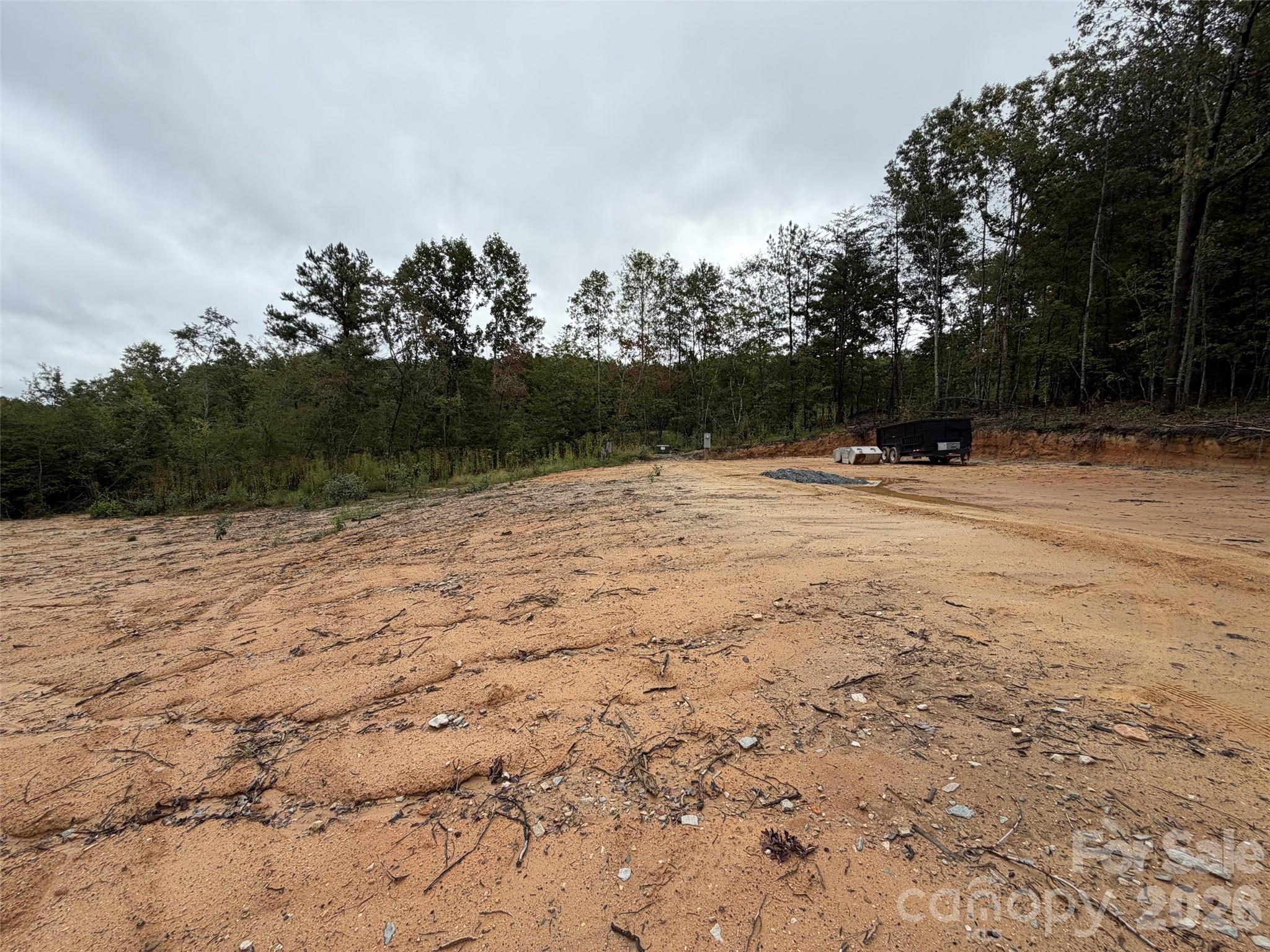 Acreage at V/L W V THOMPSON Road, Rutherfordton, photo 12 of 22