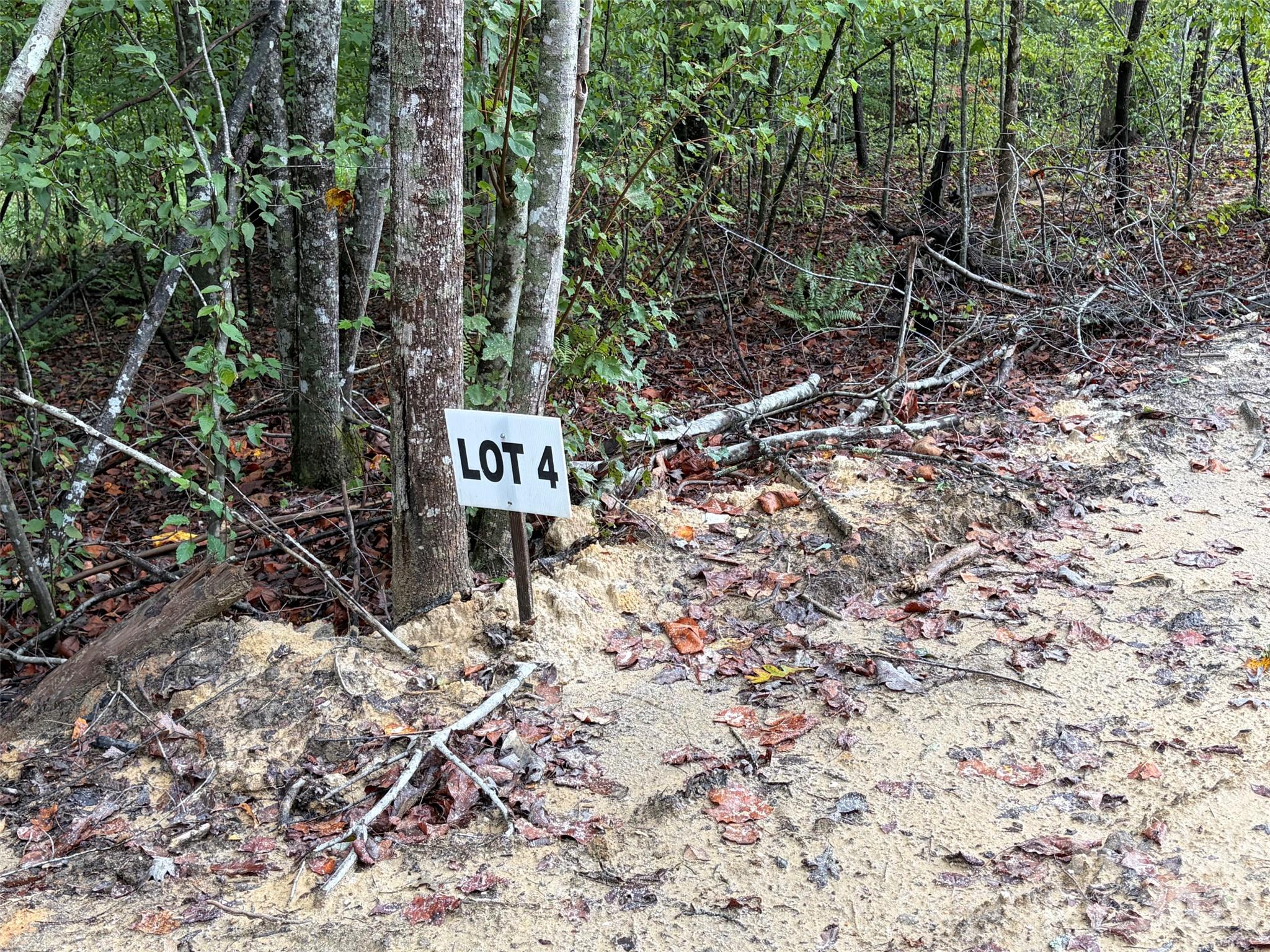 Acreage at V/L W V THOMPSON Road, Rutherfordton, photo 18 of 22