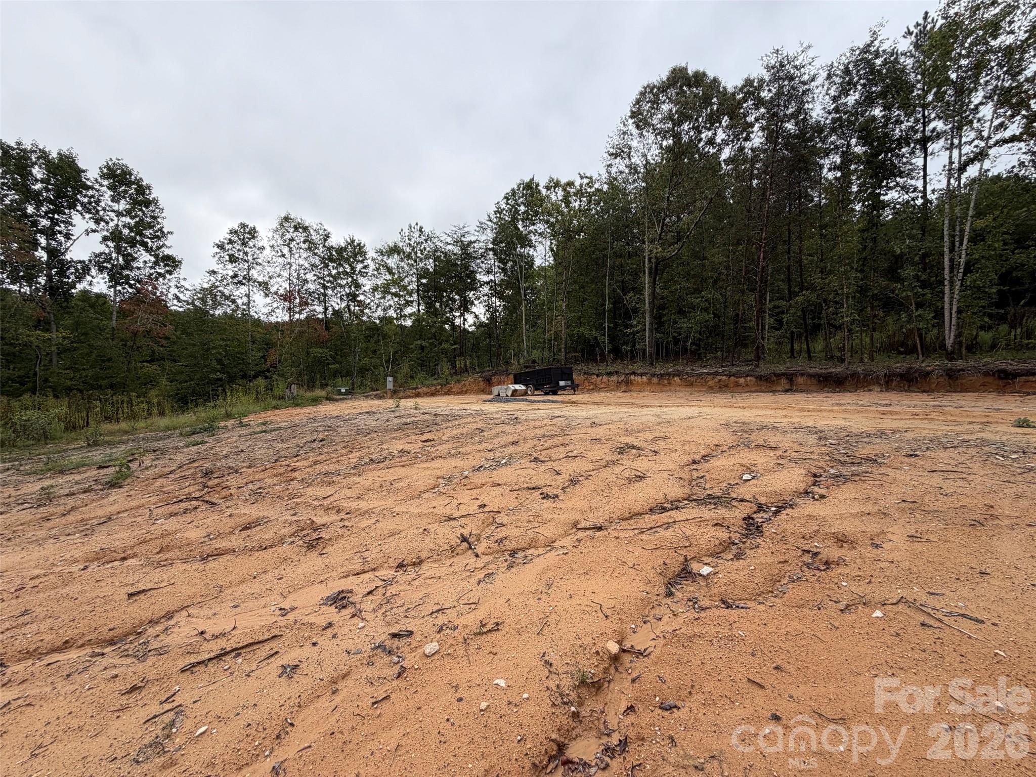 Acreage at V/L W V THOMPSON Road, Rutherfordton, photo 20 of 22