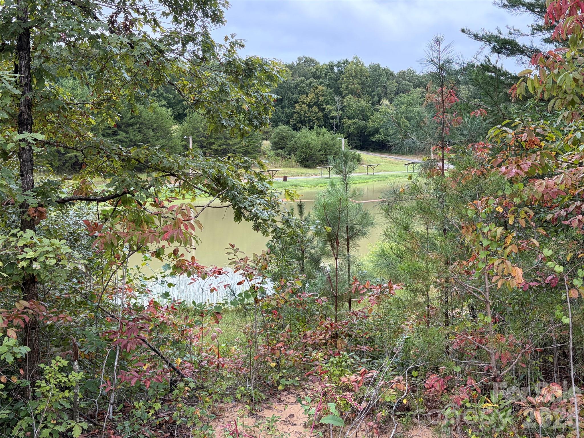 Acreage at V/L W V THOMPSON Road, Rutherfordton, photo 22 of 22