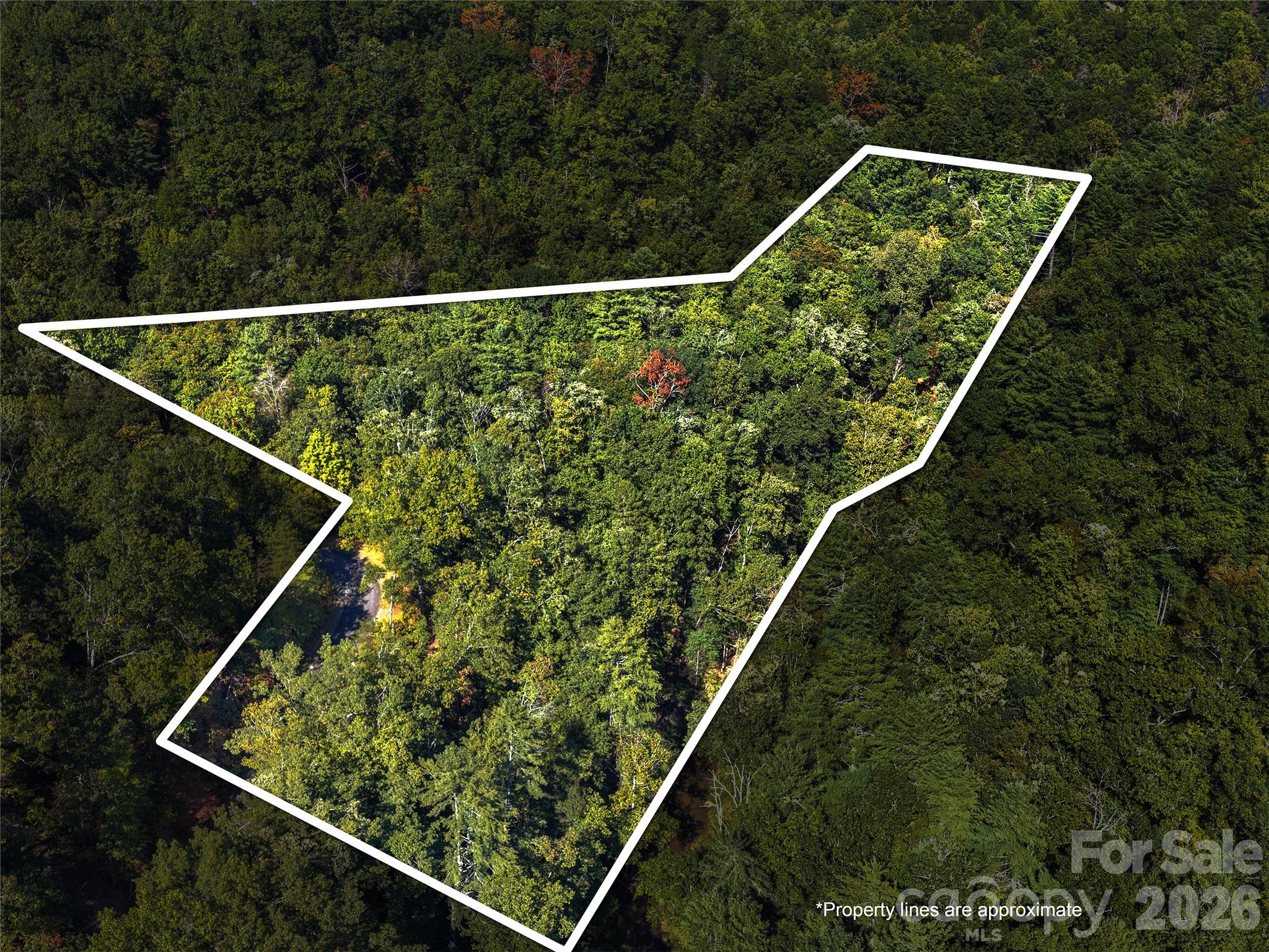 Lot at Lot # 17A Ostin Creek Trail, Mill Spring, photo 3 of 12