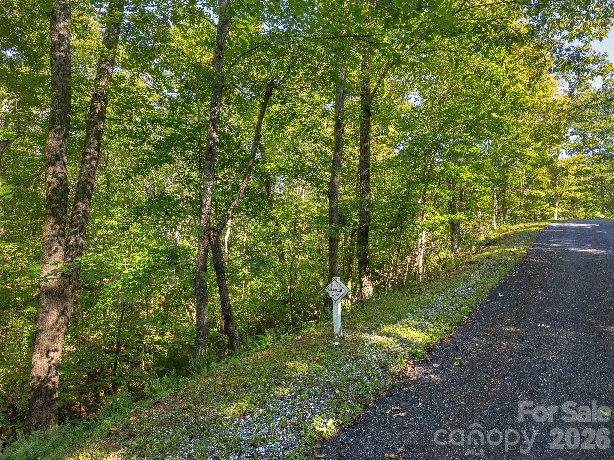 Lot at Lot # 17A Ostin Creek Trail, Mill Spring, photo 6 of 12
