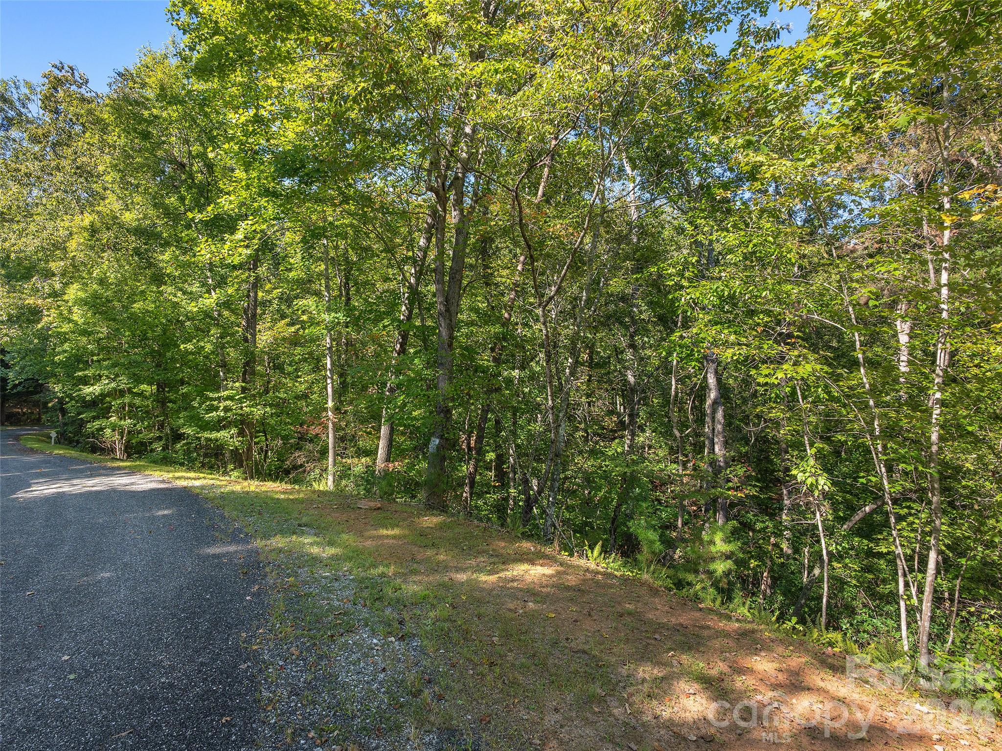Lot at Lot # 17A Ostin Creek Trail, Mill Spring, photo 7 of 12