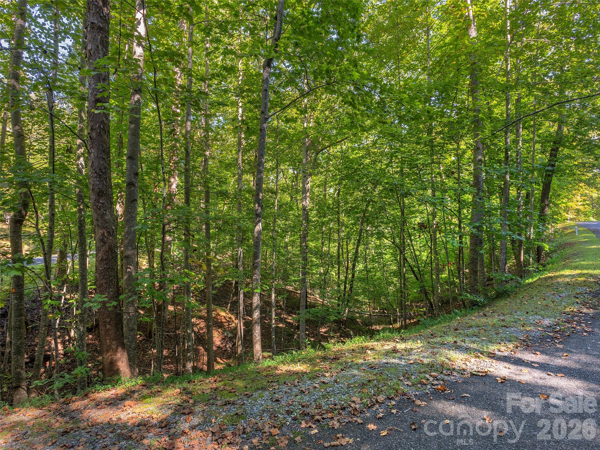 Lot at Lot # 17A Ostin Creek Trail, Mill Spring, photo 9 of 12