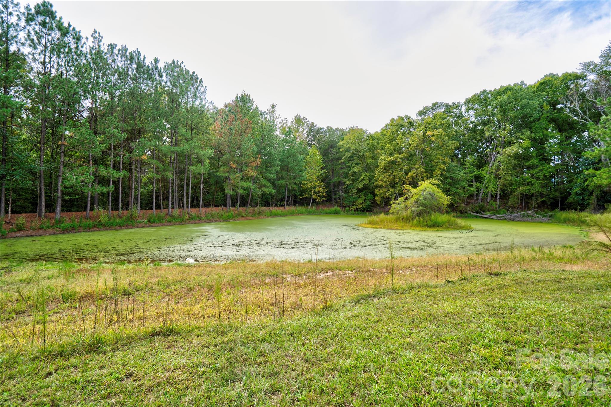 Pond - 129 Church View Drive, Lawndale
