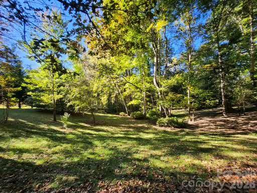 Lot at 8 John Street, Asheville, photo 3 of 3