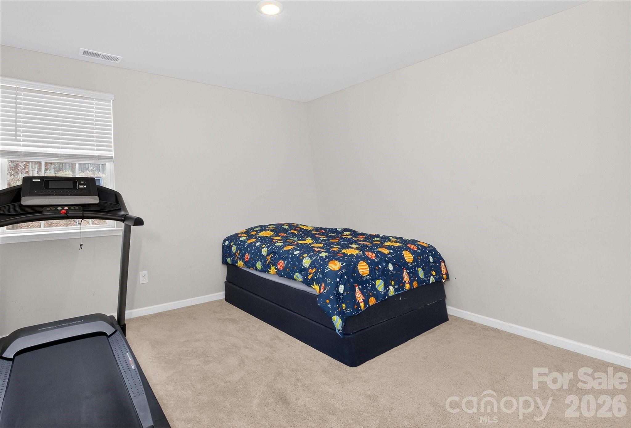 Guest Bedroom - 13017 Cinnamon Fern Lane, Mint Hill
