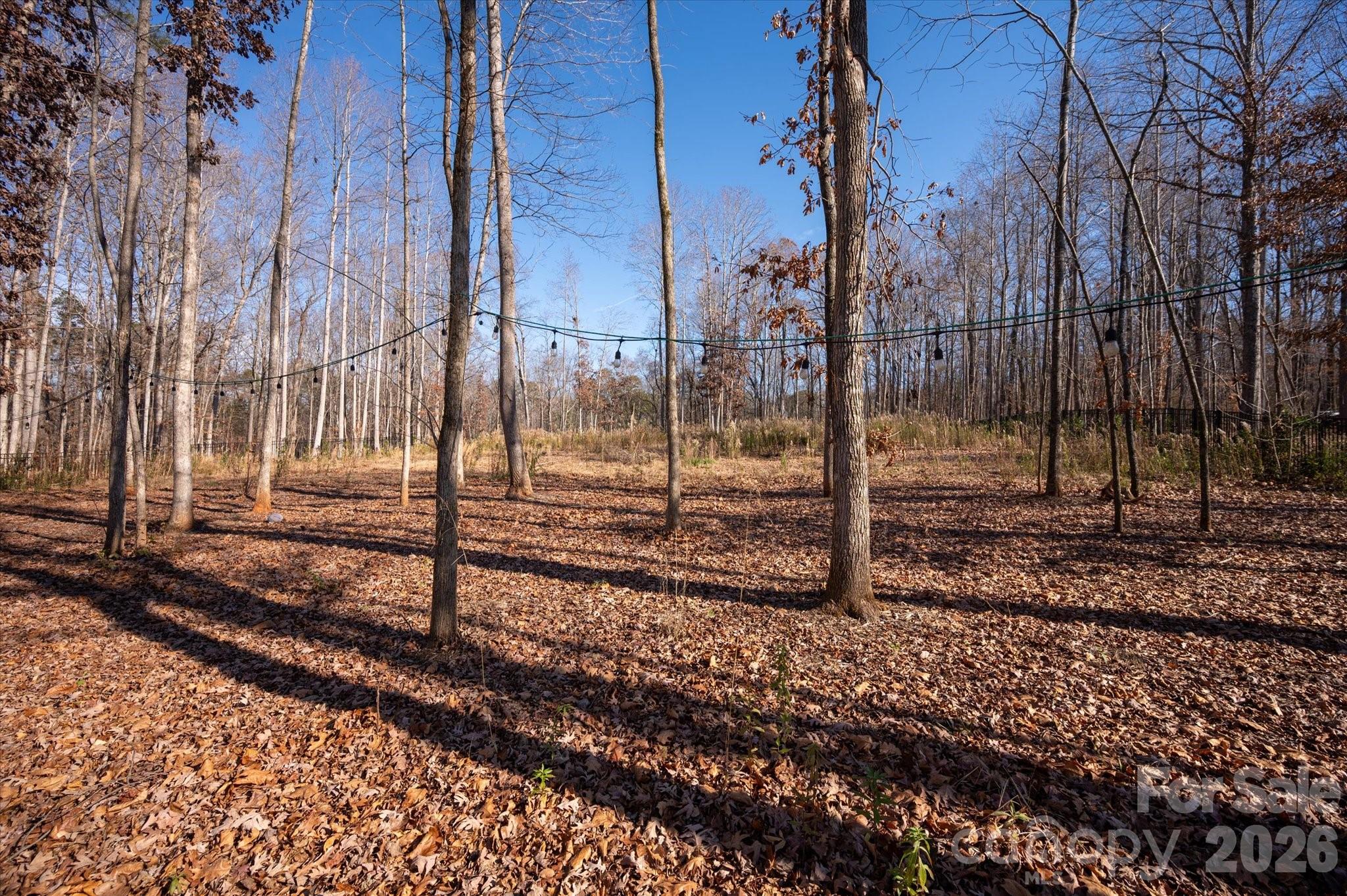 Single Family Residence at 13017 Cinnamon Fern Lane, Mint Hill, photo 40 of 48
