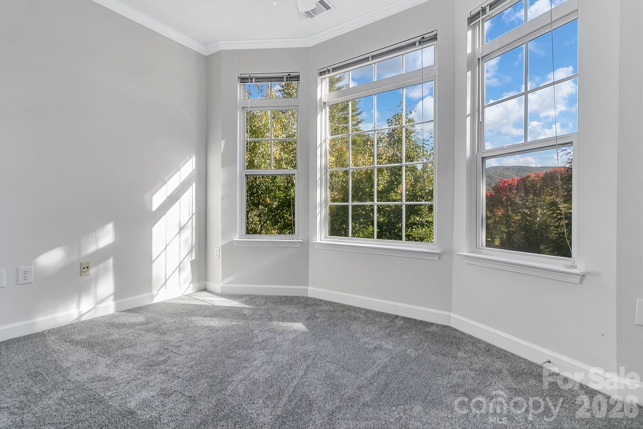 Condominium at 1000 Olde Eastwood Village Boulevard, Asheville, photo 21 of 37