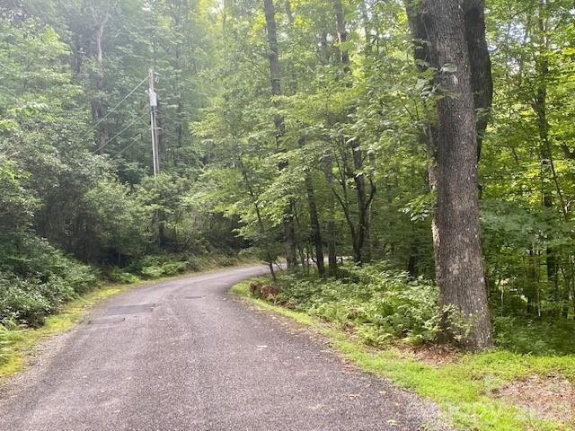 Lot at 99999 Galax Lane, Brevard, photo 5 of 14