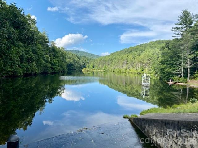 Lot at 99999 Galax Lane, Brevard, photo 6 of 14