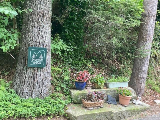 Lot at 99999 Galax Lane, Brevard, photo 7 of 14