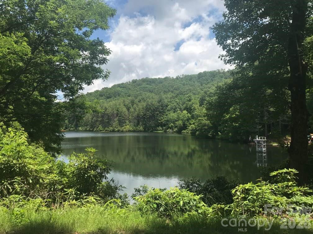 Lot at 99999 Galax Lane, Brevard, photo 8 of 14