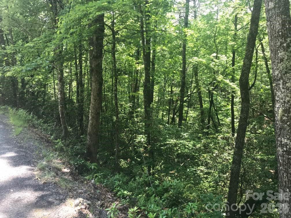 Lot at 99999 Galax Lane, Brevard, photo 10 of 14