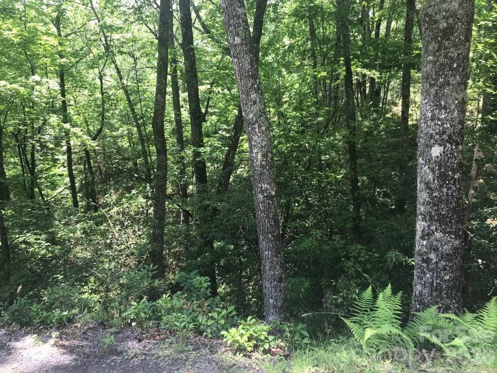 Lot at 99999 Galax Lane, Brevard, photo 11 of 14