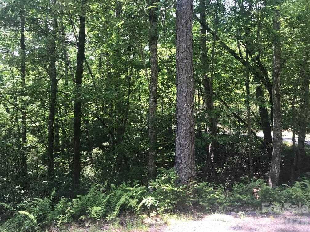 Lot at 99999 Galax Lane, Brevard, photo 12 of 14