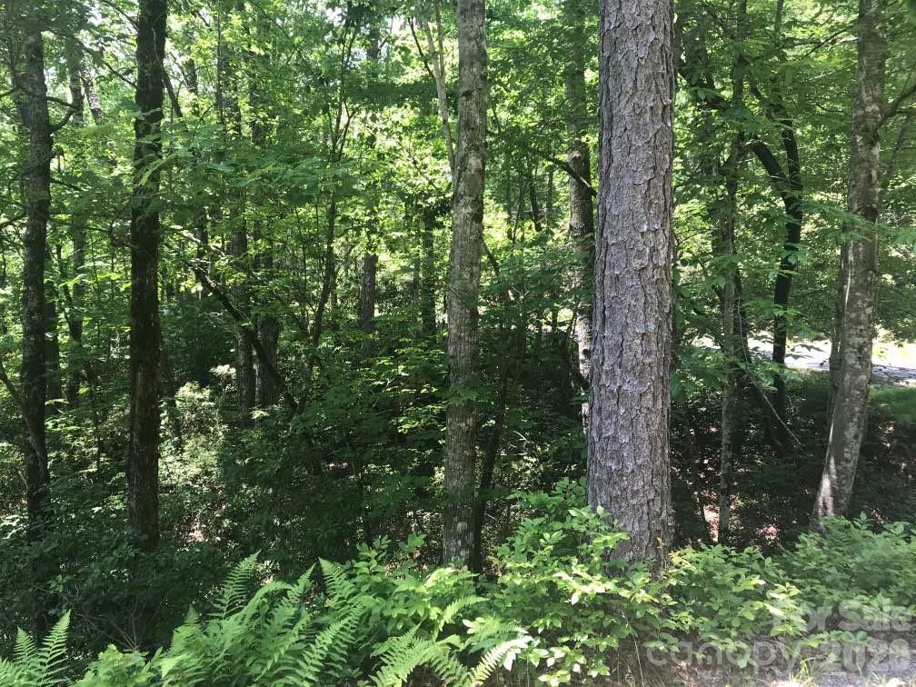 Lot at 99999 Galax Lane, Brevard, photo 13 of 14