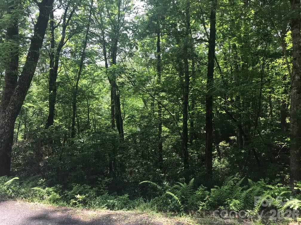 Lot at 99999 Galax Lane, Brevard, photo 14 of 14