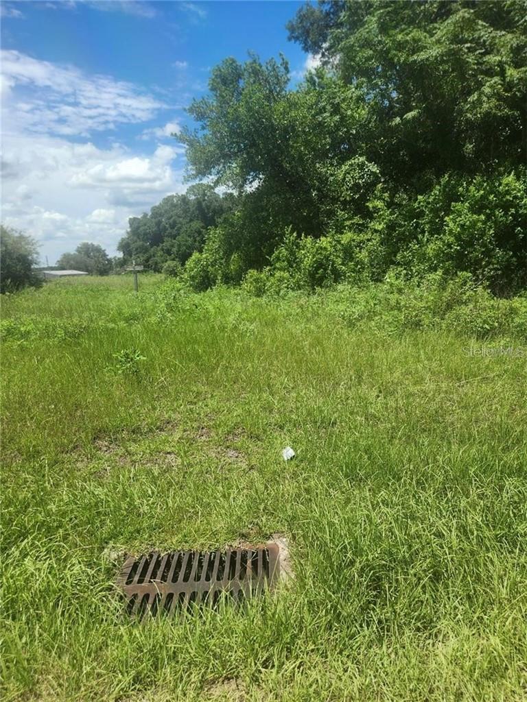 Land at Corner SE 142ND PLACE & S US HWY-301, SUMMERFIELD FL 34491, photo 4 of 40