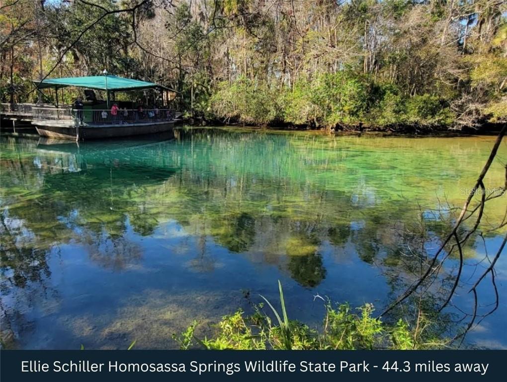 Land at Corner SE 142ND PLACE & S US HWY-301, SUMMERFIELD FL 34491, photo 15 of 40